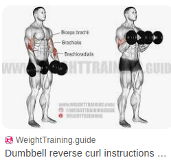 Reverse Curl